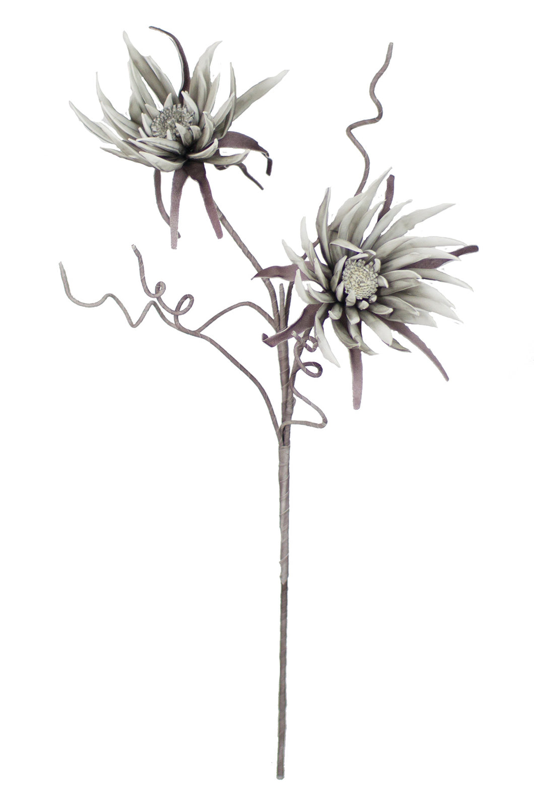 GREY TWO-HEADED FLORAL STEM