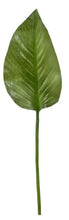 Load image into Gallery viewer, CALLA LILY LEAF
