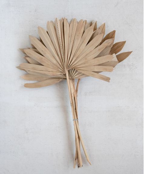 DRIED NATURAL PALM FROND