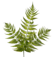 Load image into Gallery viewer, ARTIFICIAL FERN STEM

